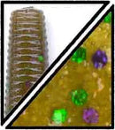 YAMAMOTO 5" PRO SENKO-5