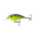 Chartreuse Pro Blue