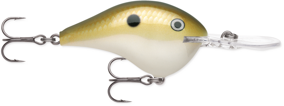 Buy lemon-shad RAPALA DT SERIES CRANKBAITS / DT8 - DT10