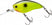 Black Back Chartreuse