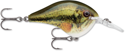 Buy live-largemouth-bass RAPALA DT SERIES CRANKBAITS DT4-12