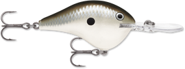 Buy pearl-grey-shiner RAPALA DT SERIES CRANKBAITS / DT12