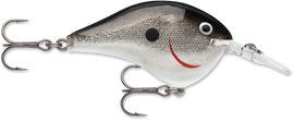 Buy silver RAPALA DT SERIES CRANKBAITS / DT12
