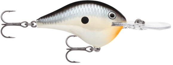 RAPALA DT SERIES CRANKBAITS / DT12
