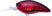 Matte Translucent Red Crawfish