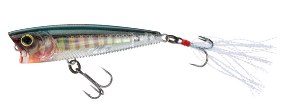 YO-ZURI 3DB POPPER