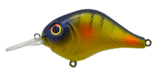 Buy bluegill BILL LEWIS MID-RANGE MR12