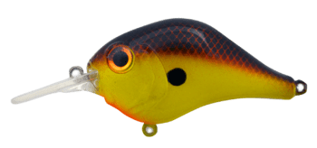 BILL LEWIS MID-RANGE MR6