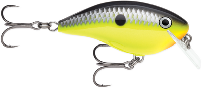 RAPALA OG BIG ROCCO