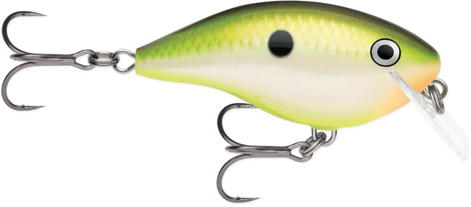 RAPALA OG BIG ROCCO