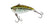 Bass