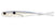 Pearly Shad