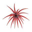 BERKLEY POWERBAIT MAXSCENT 'MOEBA-2