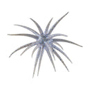 BERKLEY POWERBAIT MAXSCENT 'MOEBA-3