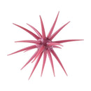 BERKLEY POWERBAIT MAXSCENT 'MOEBA-5
