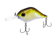 Buy guacamole BILL LEWIS MID-RANGE MR6