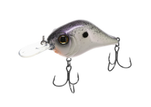 Buy purple-nurple BILL LEWIS MID-RANGE MR6