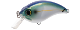 Buy threadfin-shad BILL LEWIS ATV SQUAREBILL