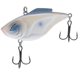 Buy oyster BILL LEWIS HAMMER TRAP