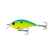 Blue-Treuse Shad