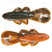 Fire Craw