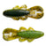 Summer Craw