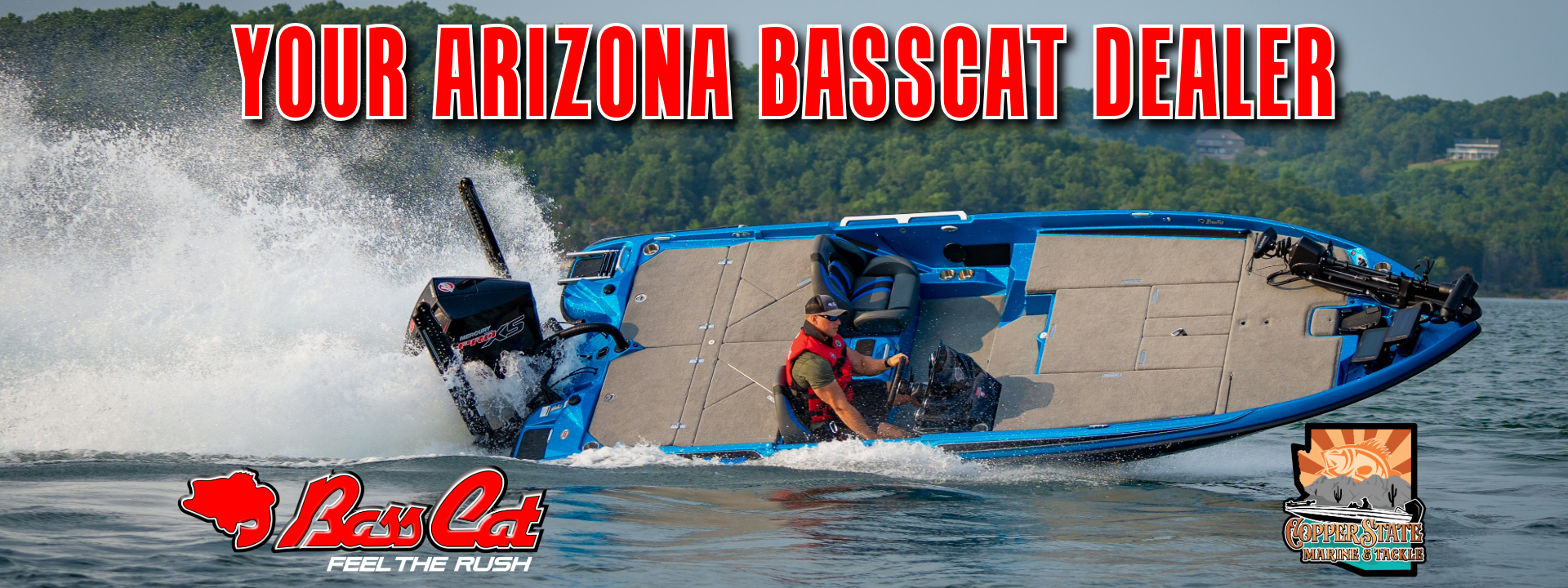 Basscat d452f844 74af 4bef b286 0a9d582aaead