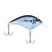 HD Threadfin Shad