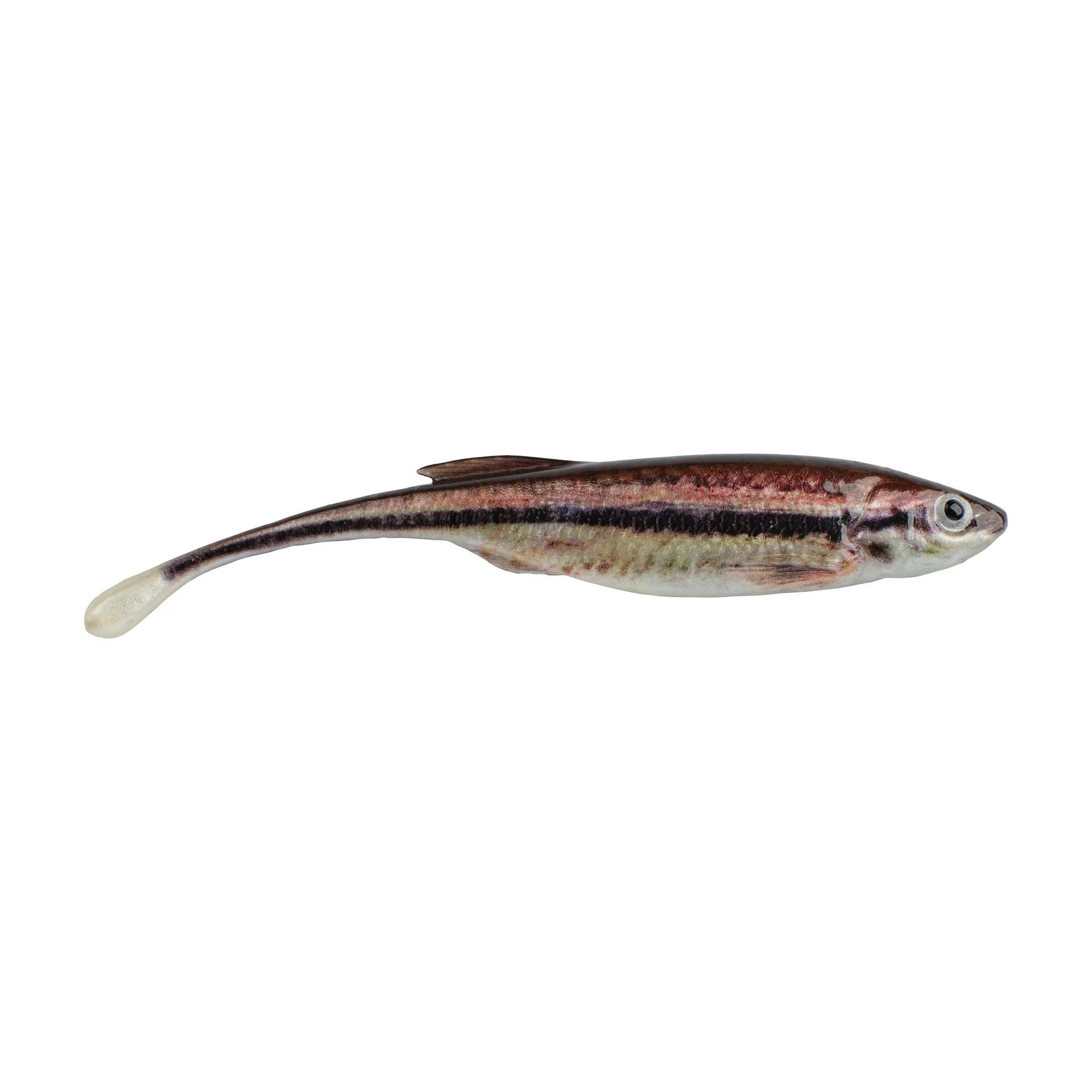 Buy hd-blacknose-shiner BERKLEY POWERBAIT DRIP MINNOW