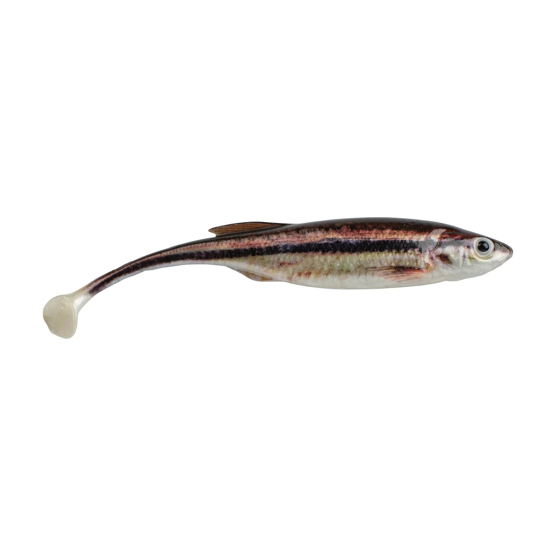 Buy hd-blacknose-shiner BERKLEY POWERBAIT DRIP SWIMMER