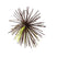 Bluegill Brown