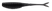 Solid Black