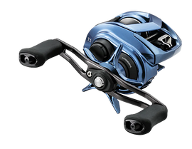 DAIWA COASTAL 80 CASTING REEL