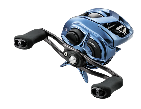 DAIWA COASTAL 80 CASTING REEL