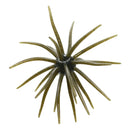 PHAT PAK SEA MINE 20MM (2 PACK)-1