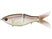 Threadfin