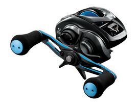 DAIWA COASTAL TW 200 25'