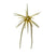 #291 Edge Shrimp
