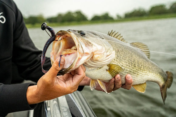 6TH SENSE BOOSA 9.6 RIBBON TAIL