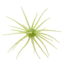 HIDEUP COIKE 17MM-10