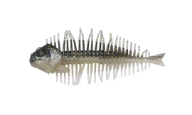 Buy dc051-gill D-STYLE GEELACANTH