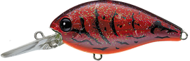 Buy red-swamp-crawdad EVERGREEN CR-10 CRANKBAITS