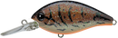 EVERGREEN CR-8 CRANKBAITS-14