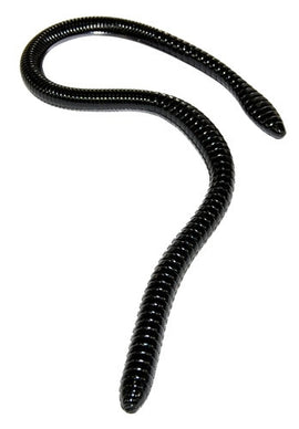GAMBLER ER-16 WORM - 0