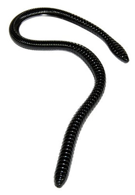 GAMBLER ER-16 WORM