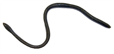 Buy green-pumpkin GAMBLER ER-16 WORM
