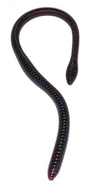 GAMBLER ER-16 WORM-4