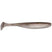 Gizzard Shad
