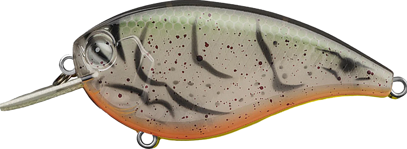 Buy albino-craw EVERGREEN FF-4 CRANKBAITS