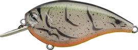 Buy albino-craw EVERGREEN FF-4 CRANKBAITS